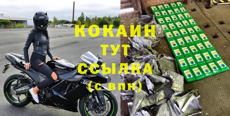 COCAIN FishScale  купить закладку  Воткинск 