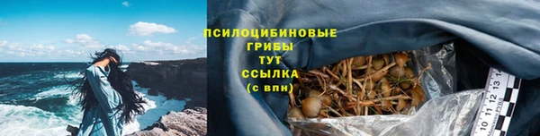 PSILOCYBIN Верея