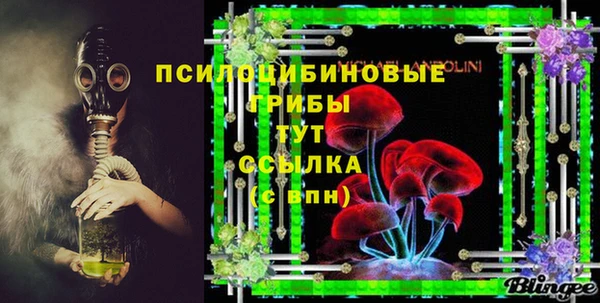 PSILOCYBIN Верея