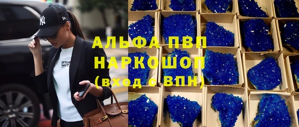 PSILOCYBIN Верея