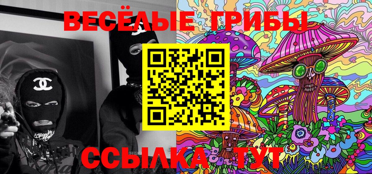 Галлюциногенные грибы Psilocybe  Воткинск  Галлюциногенные грибы GOLDEN TEACHER 